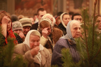 Рождественские богослужения, Фото: 16