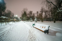 Вечерний снегопад, Фото: 23