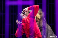 Шоу фонтанов «13 месяцев»: успей увидеть уникальную программу в Тульском цирке, Фото: 233