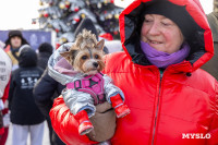 Туляки на «Забеге обещаний» поделились планами на 2026-й, Фото: 66
