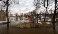 В Туле затопило Баташевский сад, Фото: 32