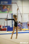 Спортивная гимнастика в Туле 3.12, Фото: 80