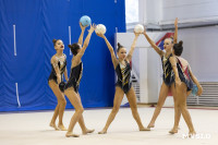 В Туле стартовало первенство Центрального федерального округа по художественной гимнастике, Фото: 21