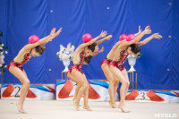 Соревнования по художественной гимнастике на призы благотворительного фонда «Земляки», Фото: 71