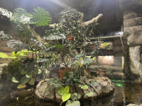 , Фото: 52