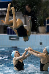 первенство цфо по синхронному плаванию, Фото: 86