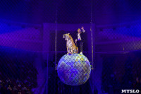 Премьера новогоднего шоу в Тульском цирке, Фото: 67