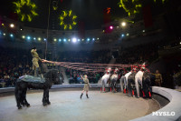 День Победы в Тульском цирке: большой концерт и патриотический спектакль, Фото: 162