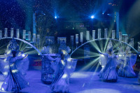 Новое грандиозное шоу Гии Эрадзе «Королевский цирк» стартует в Тульском цирке, Фото: 9