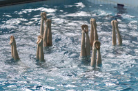 первенство цфо по синхронному плаванию, Фото: 45