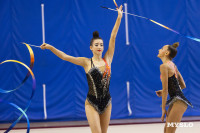 В Туле стартовало первенство Центрального федерального округа по художественной гимнастике, Фото: 85