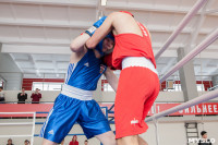 В Тульской области проходит областное первенство по боксу, Фото: 55