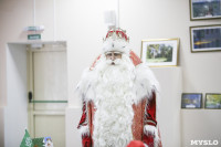 В Тулу приехал главный Дед Мороз страны из Великого Устюга, Фото: 13