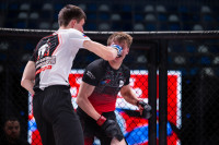 В «Тула-Арене» состоялись областные соревнования по ММА, Фото: 93