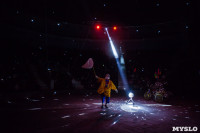 Туляков приглашают на новогоднее представление «Ёлка в цирке», Фото: 43