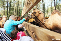 В Новомосковске открылся мини-зоопарк, Фото: 18