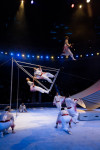 Успейте посмотреть шоу «Новогодние приключения домовенка Кузи» в Тульском цирке, Фото: 93