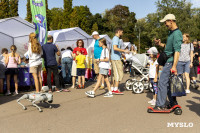 «Школодром-2025», Фото: 380