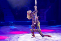 Цирковое шоу Жар птица, Фото: 60