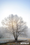 Ледяное утро в Центральном парке, Фото: 16