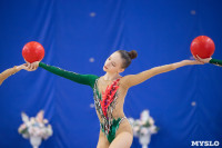 Соревнования по художественной гимнастике на призы благотворительного фонда «Земляки», Фото: 148