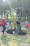 В Пролетарском районе высадили молодые деревья, Фото: 16