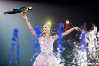 Шоу фонтанов «13 месяцев»: успей увидеть уникальную программу в Тульском цирке, Фото: 44