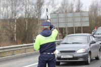 В Тульской области на трассах выставлены посты для контроля за въезжающими в регион, Фото: 3
