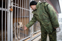 Как живет собачий патруль Туламашзавода, Фото: 23
