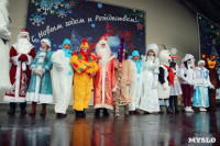 "Битва Дедов Морозов" в Центральном парке, Фото: 12