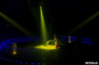 Шоу фонтанов «13 месяцев» в Тульском цирке – подарите себе и близким путевку в сказку!, Фото: 93