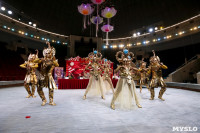 Грандиозное цирковое шоу «Песчаная сказка» впервые в Туле!, Фото: 23