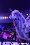 На каникулах – в Цирк больших зверей, Фото: 130