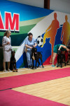 В Туле прошла выставка собак всех пород, Фото: 25