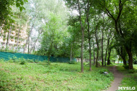 Яблоневый сад и роща на ул. Серова, Фото: 2