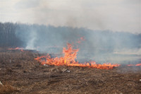 Возгорание сухой травы напротив ТЦ "Метро", 7.04.2014, Фото: 12