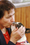 В Туле прошла Всероссийская выставка собак всех пород, Фото: 36
