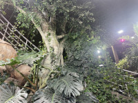 , Фото: 69