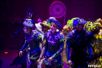 Шоу фонтанов «13 месяцев» в Тульском цирке – подарите себе и близким путевку в сказку!, Фото: 6