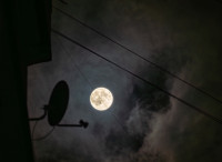 Бобровое суперлуние в Туле: фоторепортаж, Фото: 16