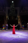 Успейте посмотреть шоу «Новогодние приключения домовенка Кузи» в Тульском цирке, Фото: 156