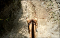 , Фото: 10