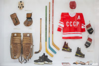 Выставка "Хоккей в наших сердцах", Фото: 35