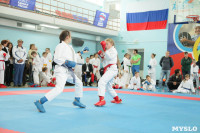 Открытое первенство и чемпионат Тульской области по каратэ (WKF)., Фото: 28