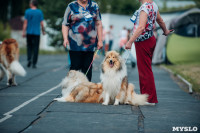Всероссийская выставка собак в Туле, Фото: 21