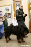 В Туле прошла Всероссийская выставка собак всех пород, Фото: 7