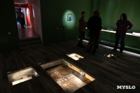 Диковинные «Антики» уже в Туле: в Нимфозориуме открылась выставка об «археологии повседневности», Фото: 9