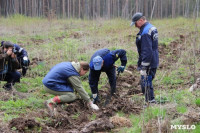 Высадка деревьев в Белевском лесничестве, 4.05.2016, Фото: 31