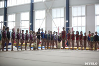 Соревнования по спортивной гимнастике на призы Заслуженных мастеров спорта , Фото: 9