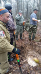 В Тульской области обнаружено еще одно братское захоронение советских воинов времен ВОВ, Фото: 2